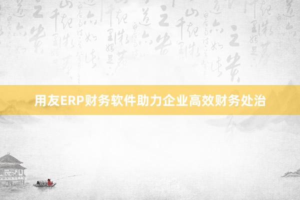 用友ERP财务软件助力企业高效财务处治