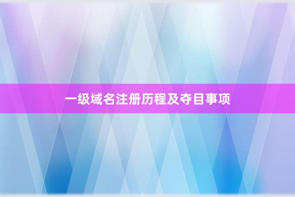 一级域名注册历程及夺目事项