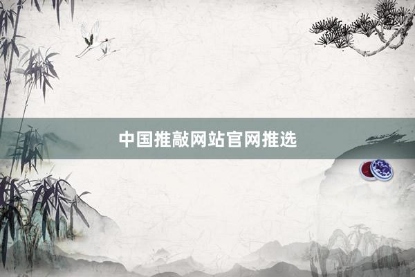 中国推敲网站官网推选