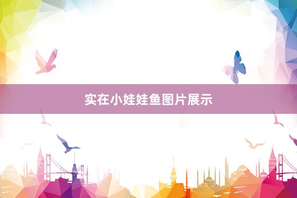 实在小娃娃鱼图片展示