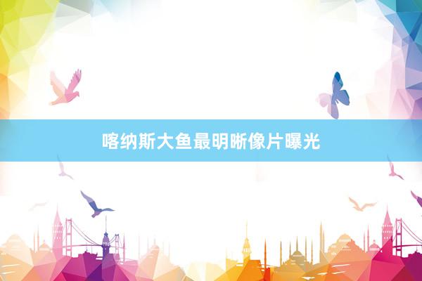 喀纳斯大鱼最明晰像片曝光