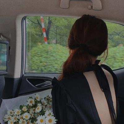 美丽生灵